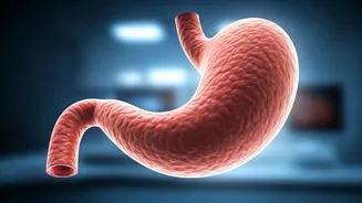 Related Stories banner