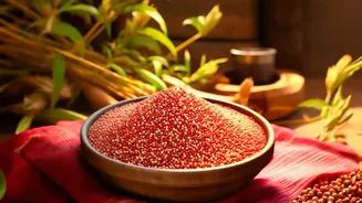 Why Grains And Pulses Combined Offer A Complete Protein Profile For Lifters