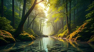 Forests And Rivers Are The New Itinerary Stars