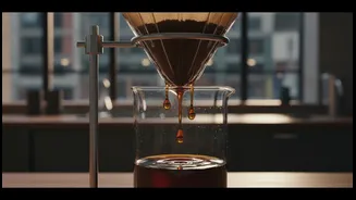 How Micro-Lot Coffee Sourcing Supports The Premium Tier Growth Of Urban Filter Cold Brew Schemes
