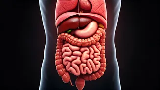 Water Fasting: What Happens to Your Body?