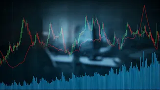 Lenskart's IPO: A Look at Investor Returns