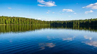 Break Free from Overthinking: 7 Powerful Techniques to Quiet Your Mind