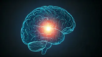 Social Media Addiction Lawsuit: How Platform Design Led to Platform Liability