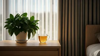 Unlocking Serene Mornings: Why Some Places Feel Calmer Than Others