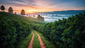 8 Romantic Weekend Escapes Near Bengaluru for Valentine's Day 2026