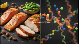 Your Protein Intake May Need a Quality Check, Not Just a Quantity Check