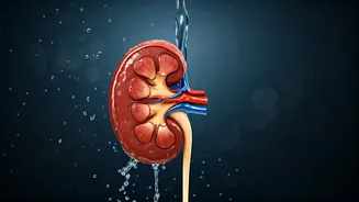 Stay Hydrated: Water Intake for Healthy Kidneys
