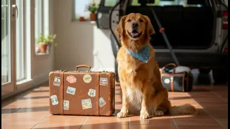 Pet-Friendly Holidays Need More Prep Than A Normal Weekend Getaway
