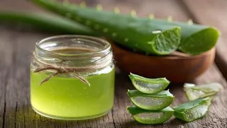 How to use aloe vera gel to score healthier hair