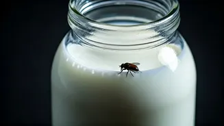 Insect in Milk Bottle Sparks Outrage: Brand Responds to Customer's Protein Query