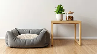 Skin Care And Safe Corners Are Pet Essentials