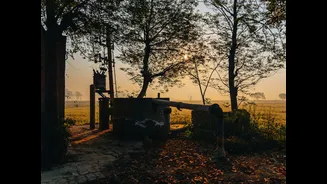 How Solar Energy is Revolutionising Indian Agriculture