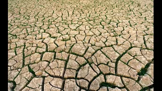 India Faces Unusual Heat Wave with Temperatures Exceeding 112°F