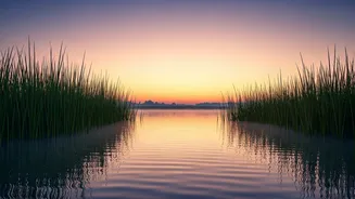 Unlock Your Day: 7 Essential 5 AM Affirmations for a Peaceful Mind