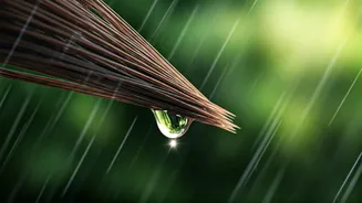 The Rainy Season Is Tough On Your Hair