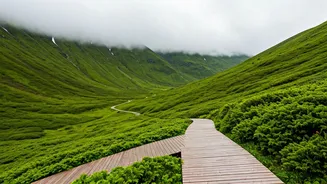 Monsoon Abroad Plans Are Getting Greener And Smarter