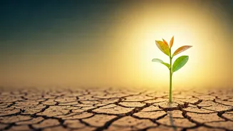 5 Japanese Wisdom Nuggets for Kids Facing Challenges: Resilience, Confidence, and Grit