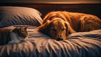 Related Stories banner