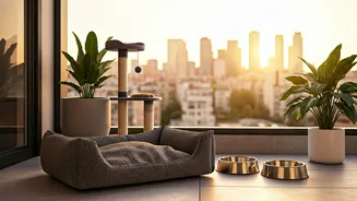 Pet Amenities Matter When Owners Step Out