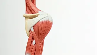 Shoulder Pain Relief: 5 Simple Exercises