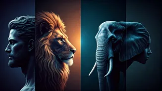 Related Stories banner