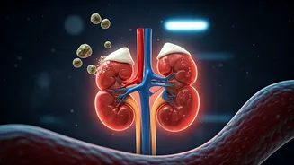 Unlocking the Truth: How Dairy and Calcium Actually Fight Kidney Stones