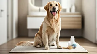 Monsoon Prep Means Cleaner, Drier, Happier Dogs