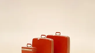A Closer Travel Look At Useful Records For Travellers After The Recent Late-Baggage Consumer Ruling