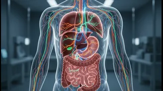 Organ-To-Organ Protein Signals Could Help Biomedical Science Readers Study Whole-Body Health More Precisely, If They Also Treat the Findings as Ear...