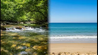 Ocean and Land Missions Need Common Standards for Connected Water Questions