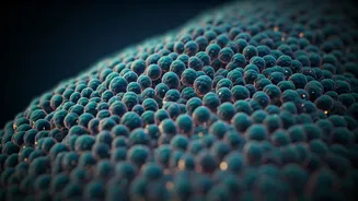 Unmasking Gluten Sensitivity: 5 Key Signs Your Gut Might Be Talking