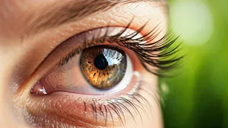 Humidity Doesn't Have To Ruin Your Eyes