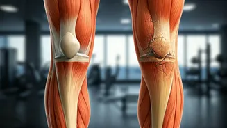 Related Stories banner