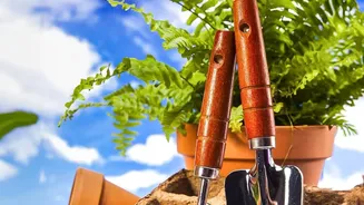 The Latest August Gardening Advice Adds New Weight To Root Health