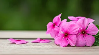 Unlocking Hair Growth: The Power of Sadabahar