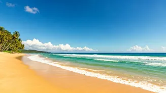 Explore Sri Lanka Beaches This Monsoon With Instant On Arrival Visas