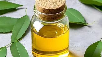 Why Natural Scalp Oil Treatments Combined With Herbal Rinses Soothe Itchy Monsoon Moisture Scalp Conditions