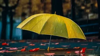 How IMD's Multi-Day Heavy-Rain Forecast Affects Flexible Bookings For This Week's Trips