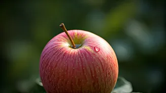 Mindful Eating Is Changing Wellness Conversations
