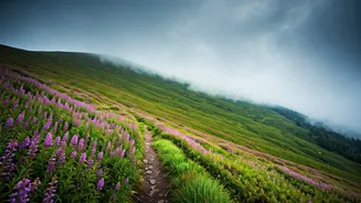 The Best Offbeat Monsoon Getaways For Young Indian Couples