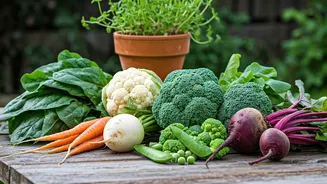 7 Winter Veggies for Your Home Garden