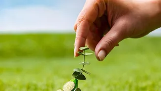 Why SIPs Appeal To Investors Who Do Not Want To Time The Market