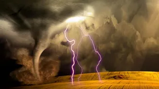 El Nino's Growth Could Extend Global Heat Into the Coming Months