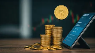 UPI Payments: Using Liquid Funds Explained