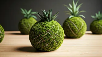 Urban Plant Parents Love Therapeutic Hanging Kokedama Moss Balls