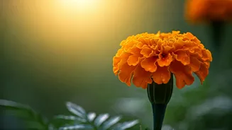 Nirjala Ekadashi Is The Day Devotees Watch