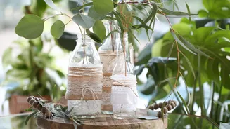 Transform juice bottles into boho vases: Here's how