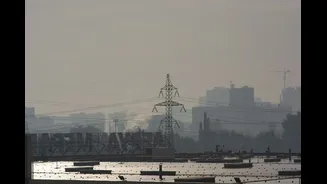 Stubble Burning and Power Plants Drive India's Air Pollution