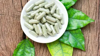 Ashwagandha vs Brahmi Benefits: Natural Adaptogen Solutions For Young Professionals With Stress